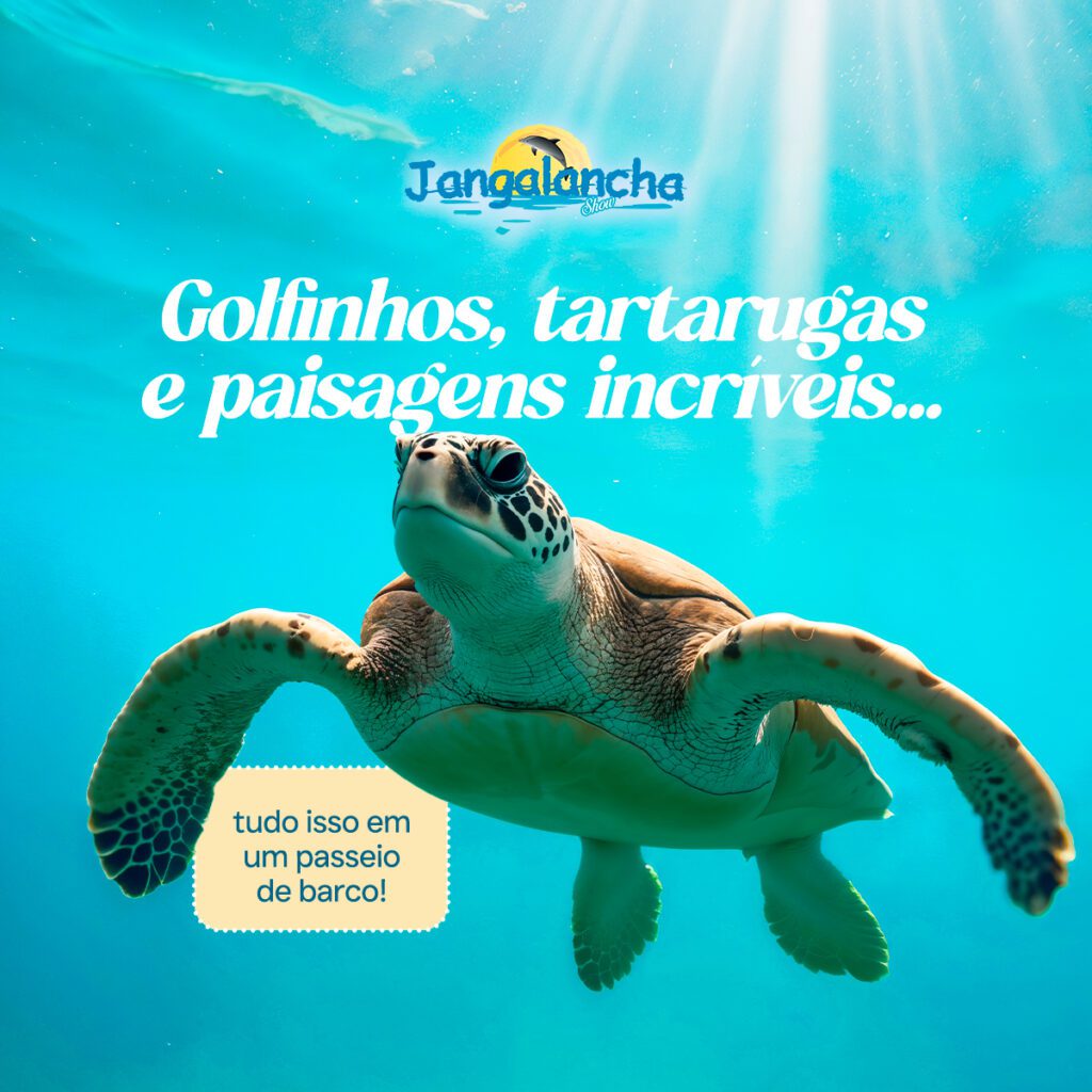 Exemplo de anúncio do Meta Ads que a Fizzing fez para Jangalancha 
